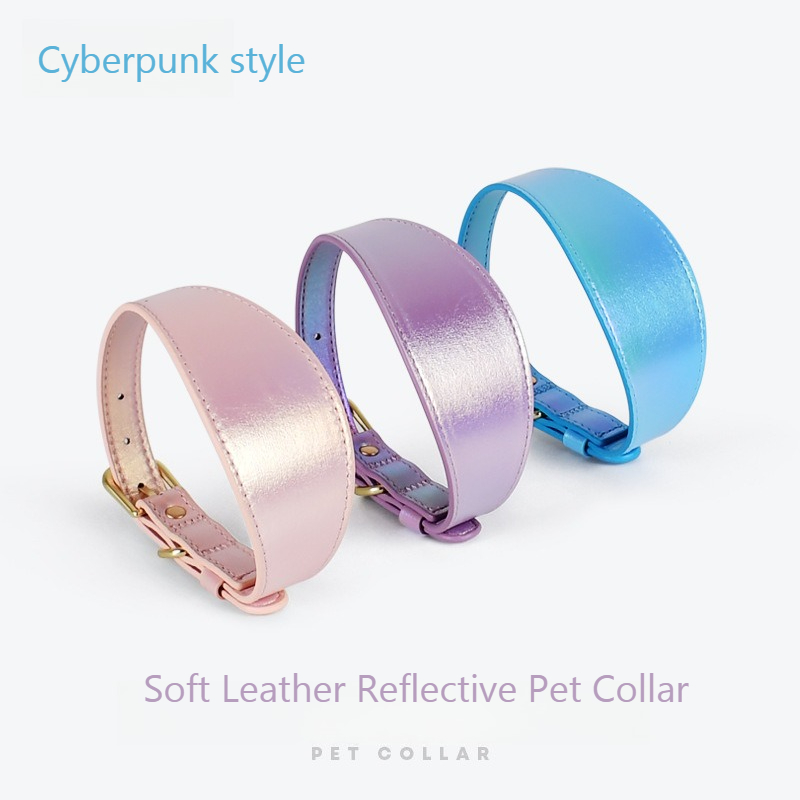 Headcollar Rope Set - Ensemble collier et laisse pour chien
