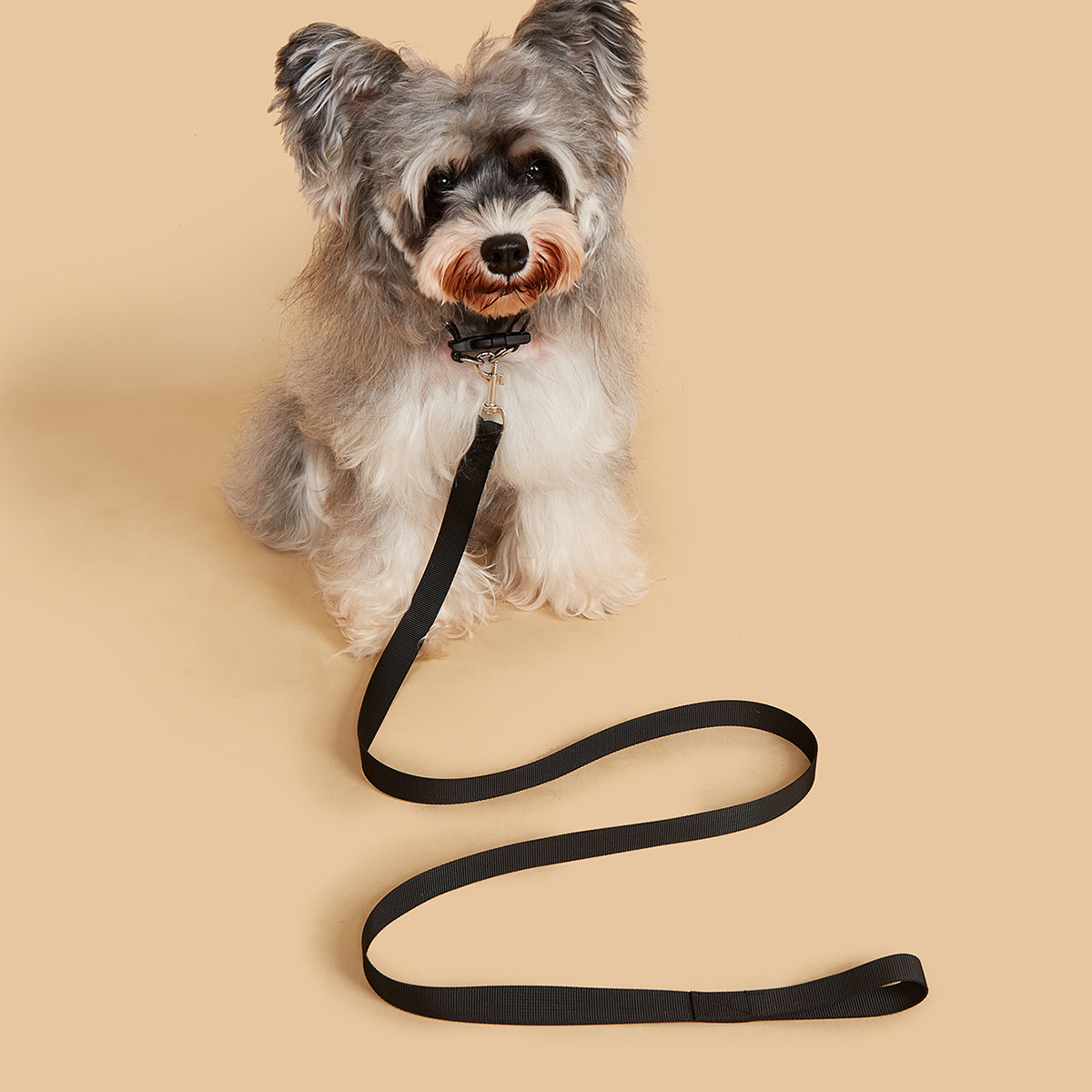 Ensemble laisse et collier pou - Headcollar Rope Set avis et prix