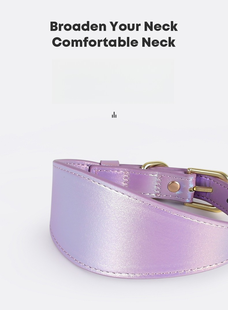 Ensemble collier et laisse pou - Headcollar Rope Set avis et prix