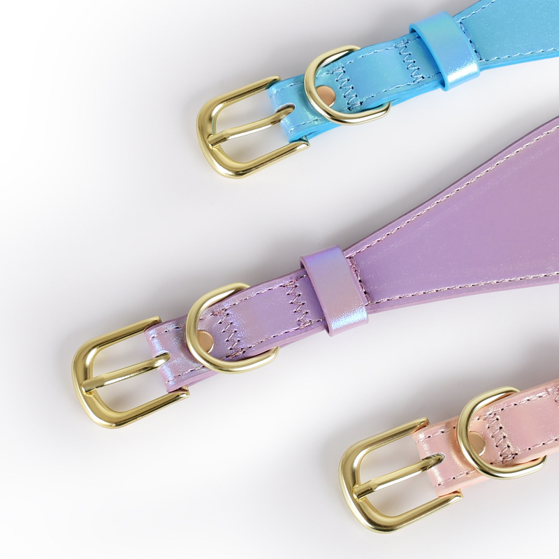 Ensemble collier et laisse pou - Headcollar Rope Set avis et prix