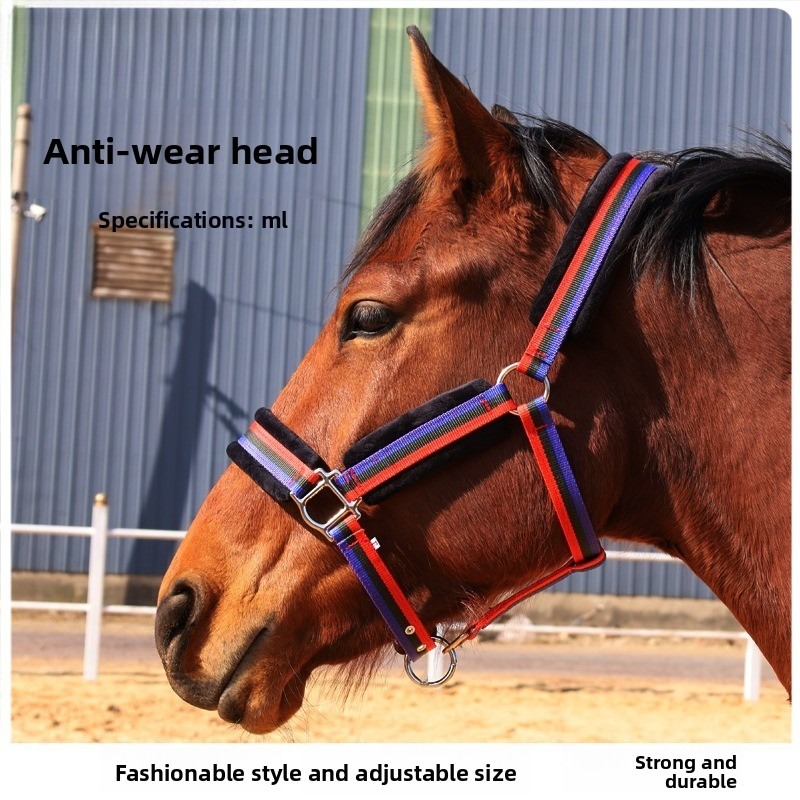Ensemble de licol pour cheval  - Headcollar Rope Set avis et prix
