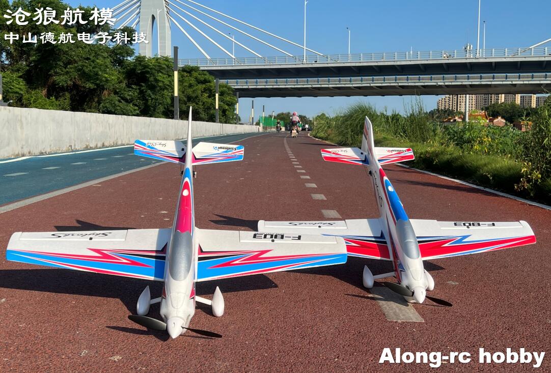 F803 F3A Skylarks 1000mm enver - Outdoor Sport Hobbies avis et prix