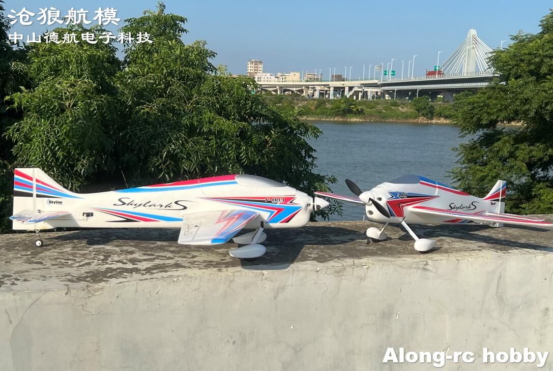 F803 F3A Skylarks 1000mm enver - Outdoor Sport Hobbies avis et prix