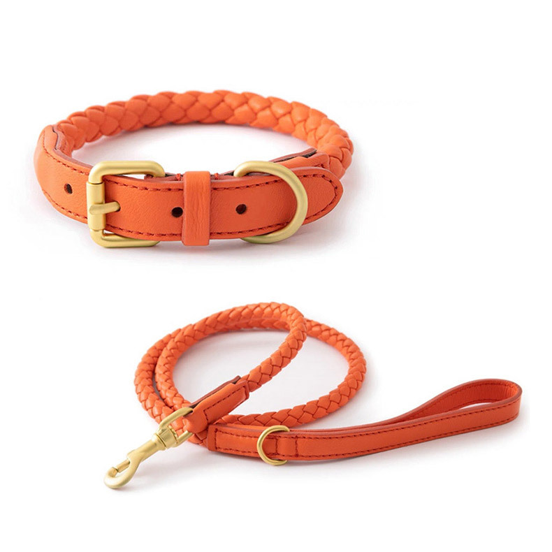 Ensemble collier et laisse pou - Headcollar Rope Set avis et prix