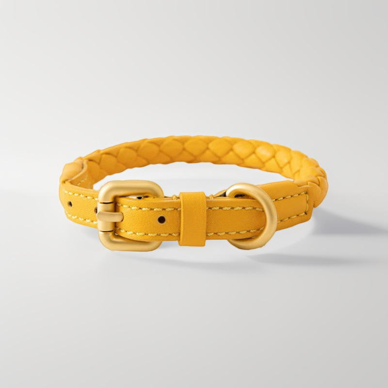 Ensemble collier et laisse pou - Headcollar Rope Set avis et prix
